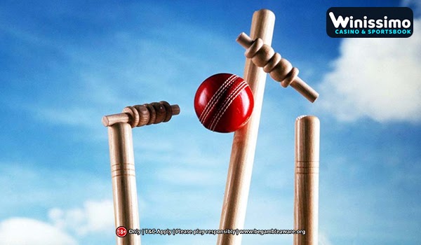 Everything you should know about cricket odds